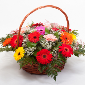 Mixed Gerbera with Basket