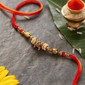 Single Rakhi