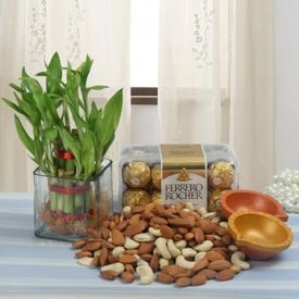 Dry Fruits, Chocolates, Plants