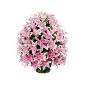 25 Pink lilies with Basket