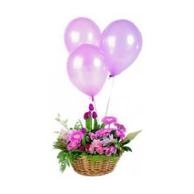 A basket of 30 mixed gerberas and 10 balloons