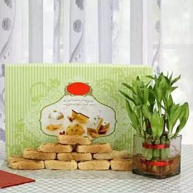 Box of Milk Cake with Plant