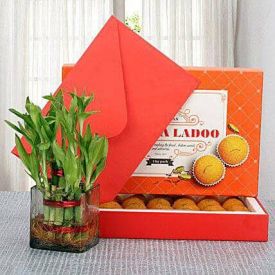 Moti Choor Laddoo With Bamboo