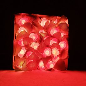 Flower LED Light Ladi