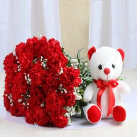 A bunch of 20 red carnation, and (6-inch-cute teddy bear)