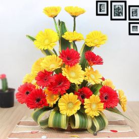 Red and Yellow Gerberas