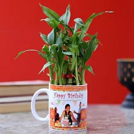Personalized Birthday Mug with Bamboo Plant