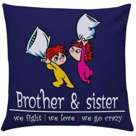 Funny sister or brother cushion