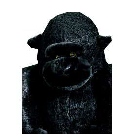 Gorilla Monkey