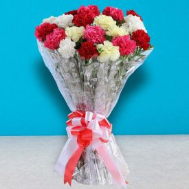 Bouquet of Mixed Carnations