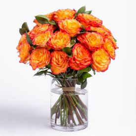 Bunch of 36 orange roses