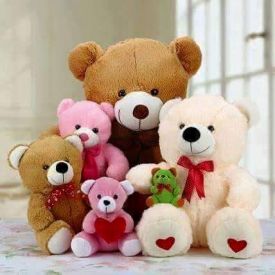 6 Teddy Bear Combo Set