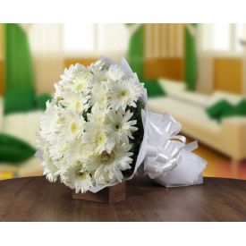 White Gerbera Bunch