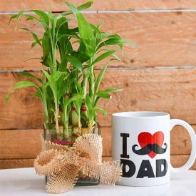 Bamboos N (White) Mug