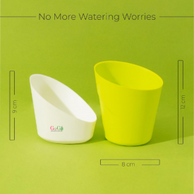 5 Pcs Parrot Green Self watering pot