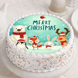 Vanilla Christmas Photo Cake
