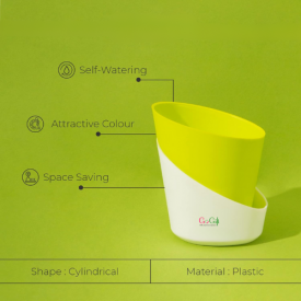 5 Pcs Parrot Green Self watering pot