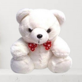 Teddy Bear in 12 Inch