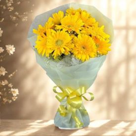 Bunch of 10 Yellow Gerbera