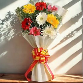 Gerbera Mixed