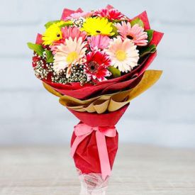 Mixed Gerberas Arrangements