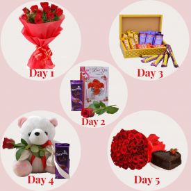 5 Days Gifts of Valentines day