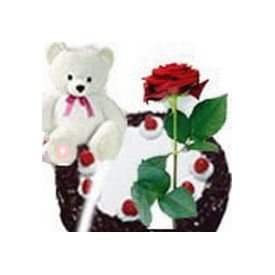 Teddy Bear (6 inches) with 1 Rose and 1/2 kg black forest Cake