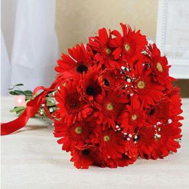 Bunch of 10 Red Gerbera