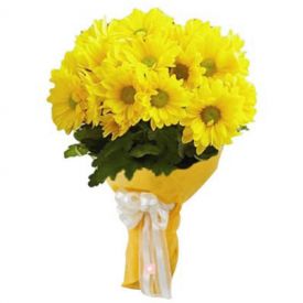 Bunch of 10 Yellow Gerbera