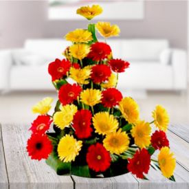 Mixed gerbera with Basket