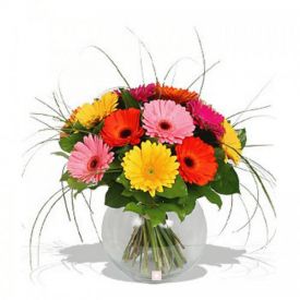 Mixed Gerberas