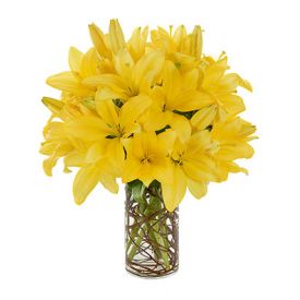 Yellow lilies in Vase