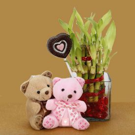 Lucky bamboo plant in vase and 2 small teddy