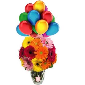20 mixed gerberas in vase with 10 Balloons