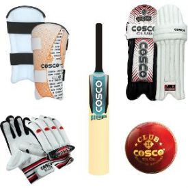 Cosco scorer cricket set