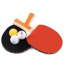 Table Tennis Game