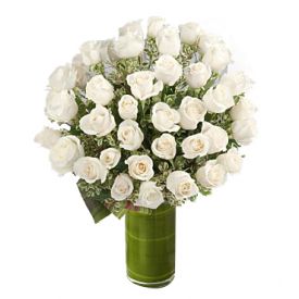 70 white roses with vase