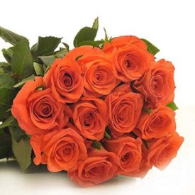 12 Orange Roses