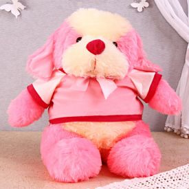 Customized Teddy : Soft Animals