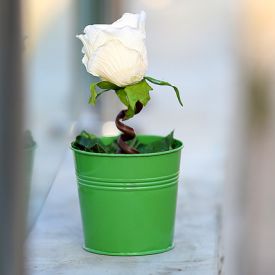 Serene Artificial Rose Plant