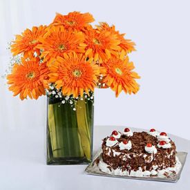 8 Orange Gerberas in a Glass Vase with Black Forest Cake