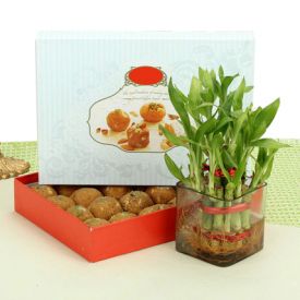 1 kg besan laddoo with bamboos