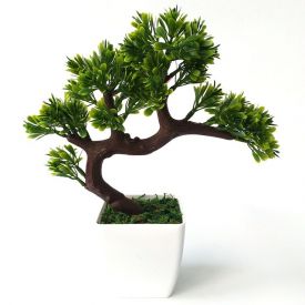 Bonsai Tree in a Vase