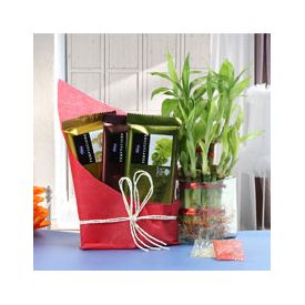 Prosperous Bhaidooj Gifts