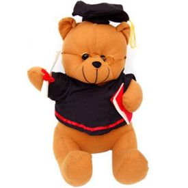 Christmas teddy master (18 inch)