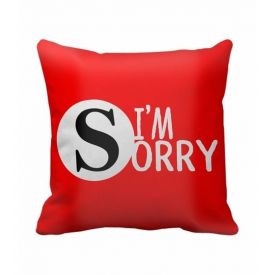 I Am Sorry Cushion