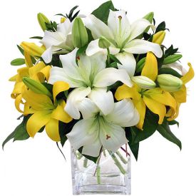 Yellow and White lilies with