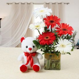 Mixed Gerbera N Teddy