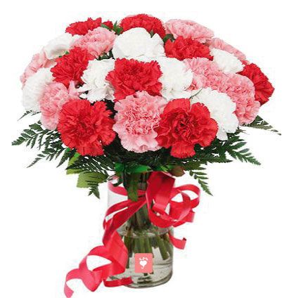 Buy Bunch Of mixed Carnation Online at Best Price | Od