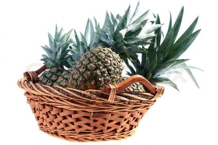 3 Pcs Pine Apple